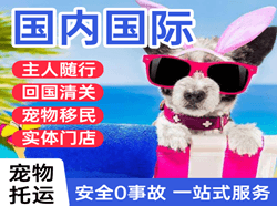 北京机场快递国际宠物托运 【国